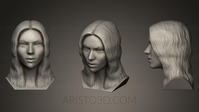 Busts and bas-reliefs of famous people (BUSTC_0553) 3D model for CNC machine